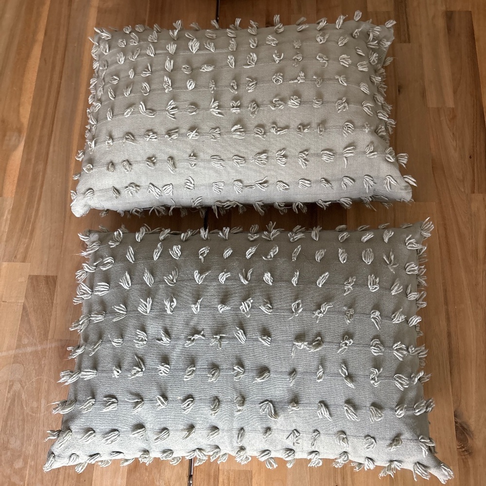 2 sage Green decor pillow